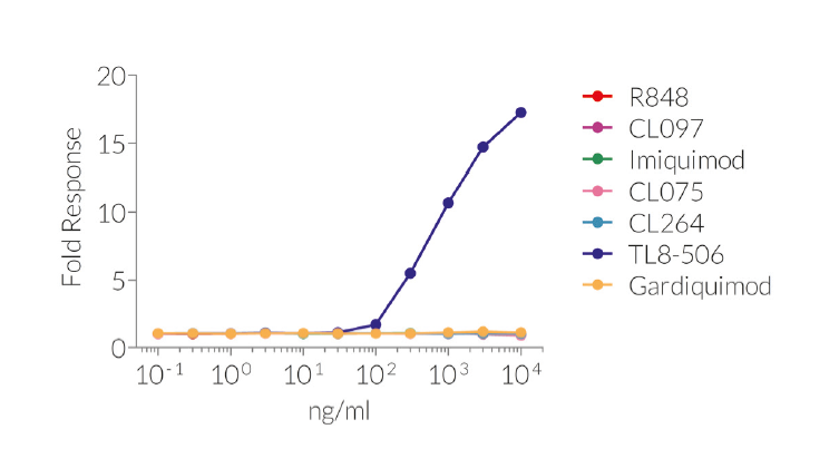 Cellular response to synthetic base analogs