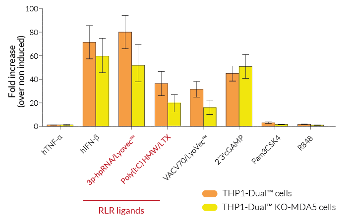 Functional validation of MDA5 knockout (IRF response)