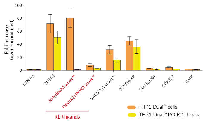 Functional validation of RIG-I knockout (IRF response)