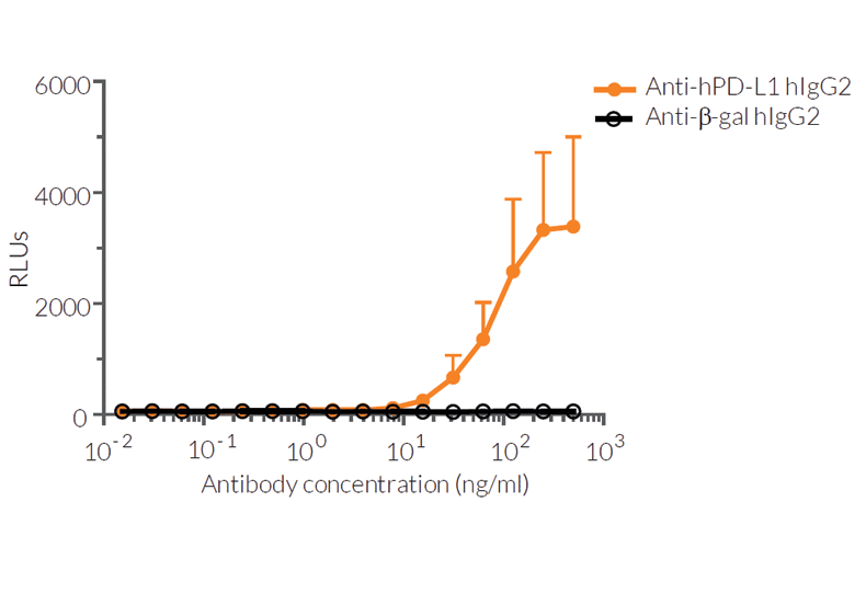 Jurkat-Lucia™ NFAT-CD32 cell responses to ADCP induction with Anti-hPD-L1 hIgG2 and Raji-hPD-L1 cells