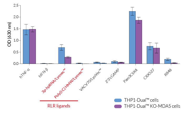 Functional validation of MDA5 knockout (NF-κB response)