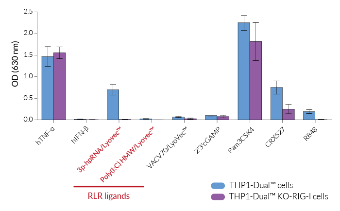 Functional validation of RIG-I knockout (NF-κB response)