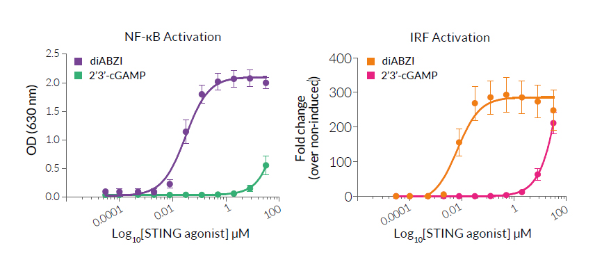 diABZI activates STING