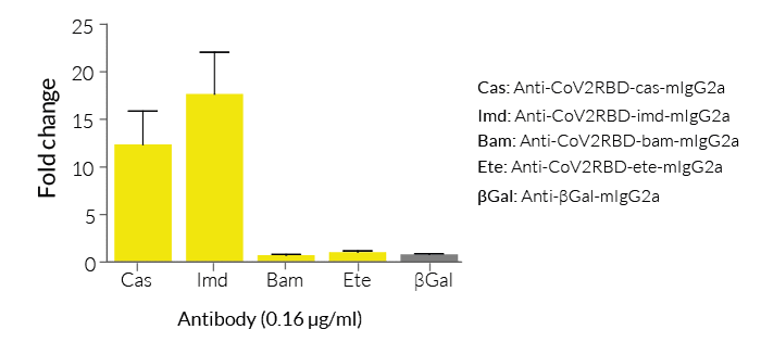 RBD-LuciaV5 (P.1) for Luciferase-based ELISA