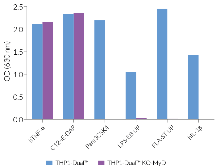 NF-κB responses in THP1-Dual™ KO-MyD cells