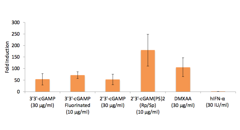 IFN-β induction (Lucia luciferase reporter)