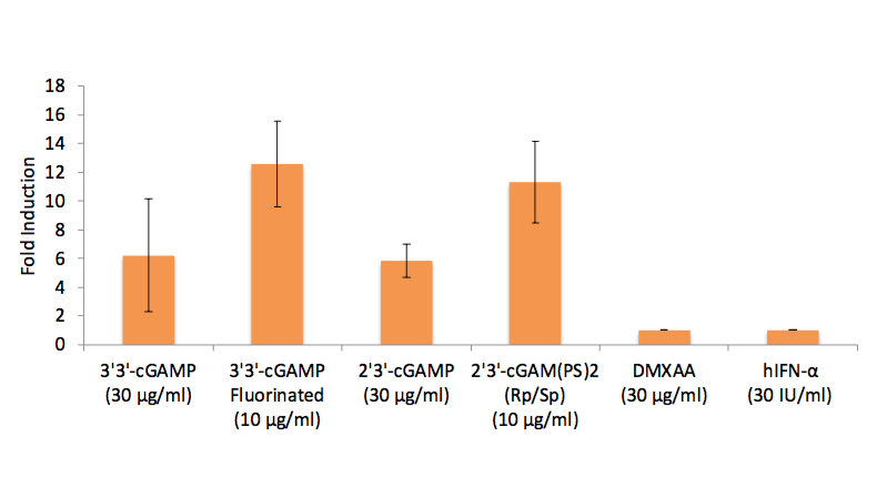 IFN-β induction (Lucia luciferase reporter)