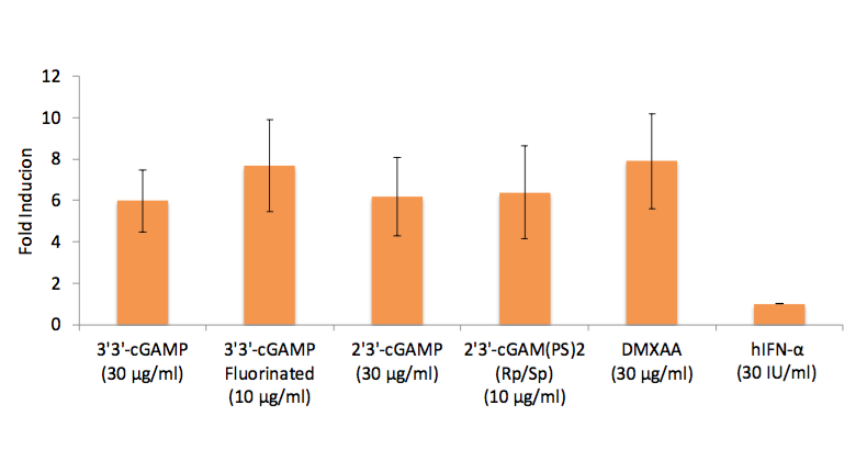 IFN-β induction (Lucia luciferase reporter)