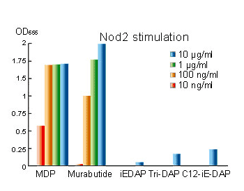 NOD2 stimulation