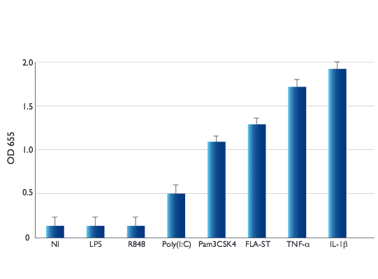 NF-κB induction in A549-Dual™ cells