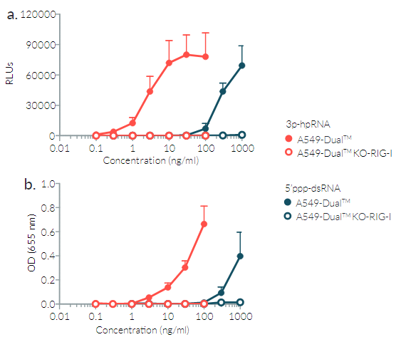 A549-Dual™ cellular response to 3p-hpRNA and 5`ppp-dsRNA