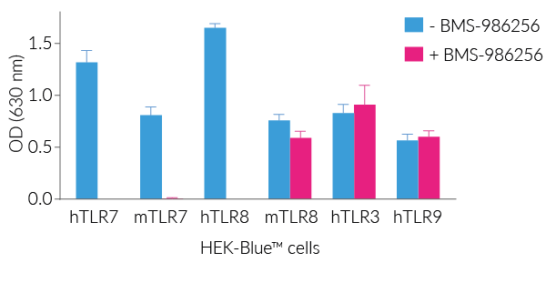 Specific inhibition of TLR7 and TLR8 signaling by BMS-986256