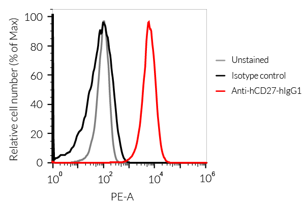 Binding of Anti-hCD27-hIgG1 mAb to human CD27