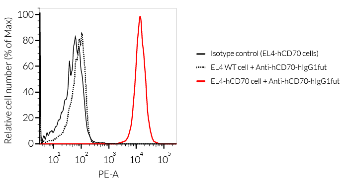 Binding of Anti-hCD70-hIgG1fut mAb to hCD70