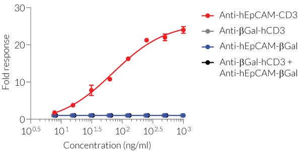 Evaluation of T cell activation (ELISA)