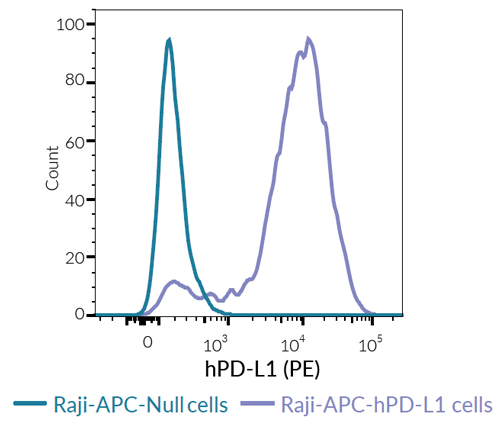 PD-L1 expression on Raji-APC-derived cells