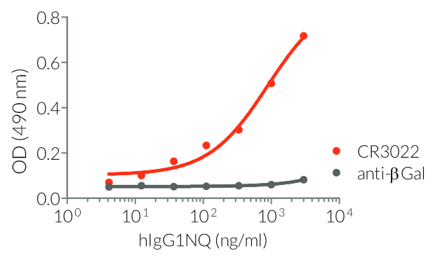 Binding of Anti-Spike-RBD hIgG1NQ to SARS-CoV-2 RBD