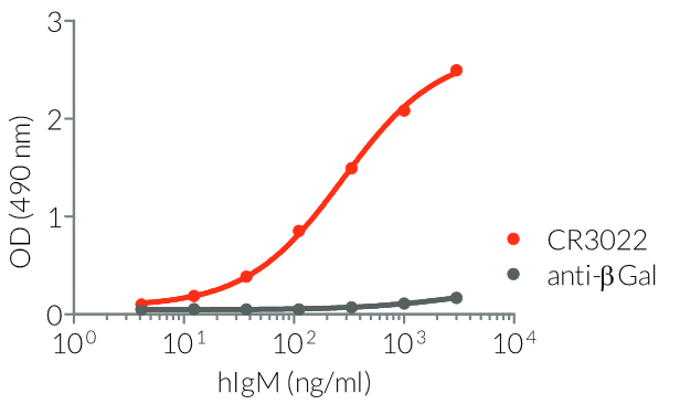 Binding of Anti-Spike-RBD hIgM to SARS-CoV-2 RBD