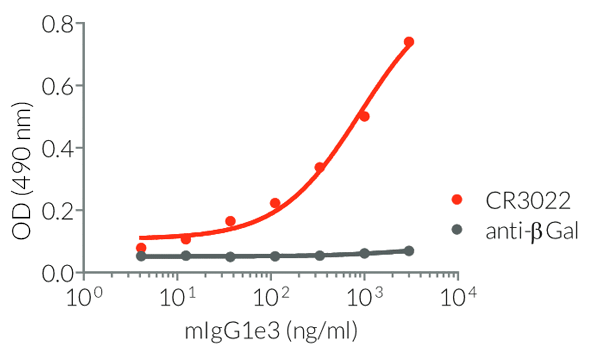 Binding of Anti-Spike-RBD mIgG1e3 to SARS-CoV-2 RBD