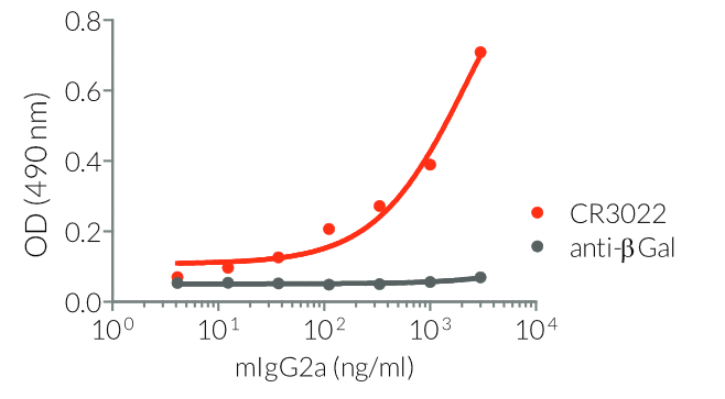 Binding of Anti-Spike-RBD mIgG2a to SARS-CoV-2 RBD