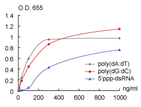 Responses of B16-Blue IFNalpha/beta cells to dsDNA and dsRNA