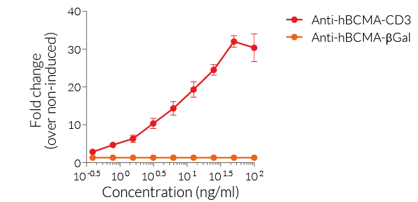 Evaluation of T cell activation