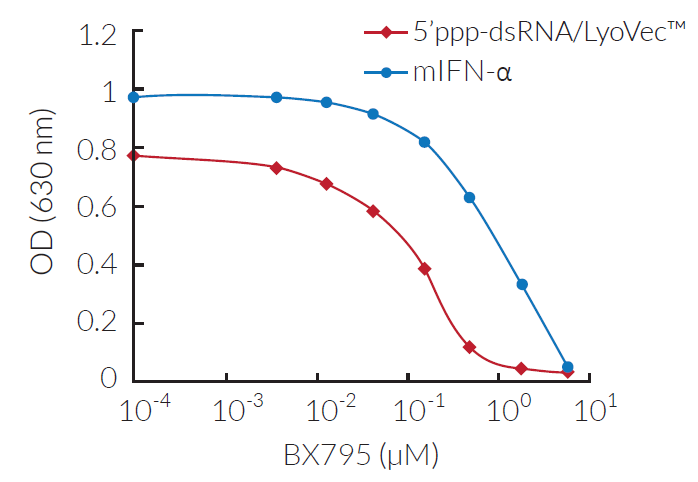 Dose-dependent inhibition of TBK1/IKKε signaling by BX795