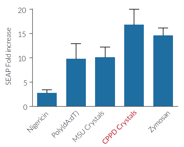 Evaluation of inflammasome activation with CPPD crystals