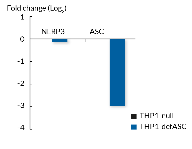 Validation of ASC KD in THP1-defASC