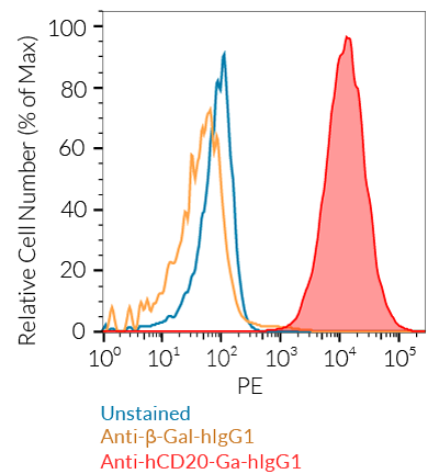 CD20 cell surface staining using Anti-hCD20-Ga-hIgG1