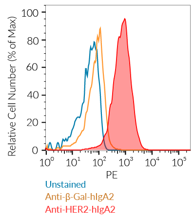 HER cell surface staining