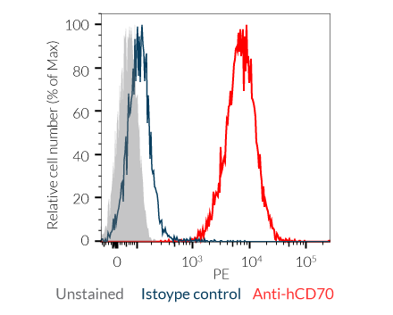 CD70 expression on Raji-Null cells