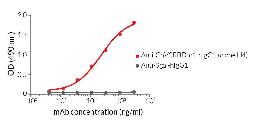 Validation of binding to SARS-CoV-2 RBD by ELISA