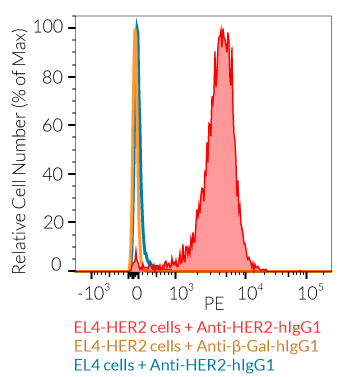 EL4-HER2 cell surface staining