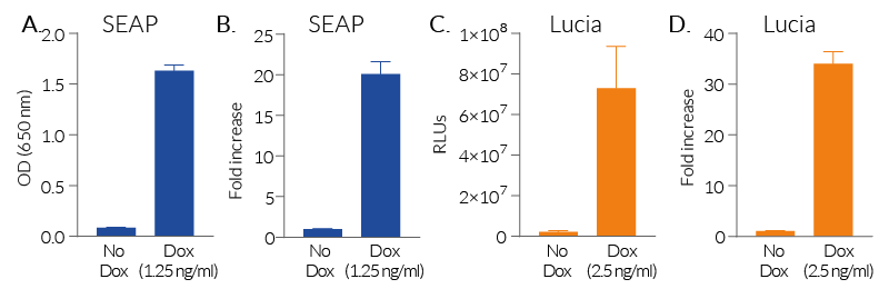 No expression leakage of protein of interest