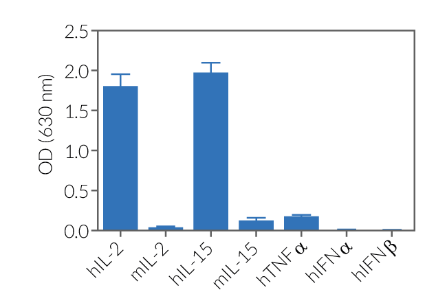 HEK-Blue™ CD122/CD132 specificity