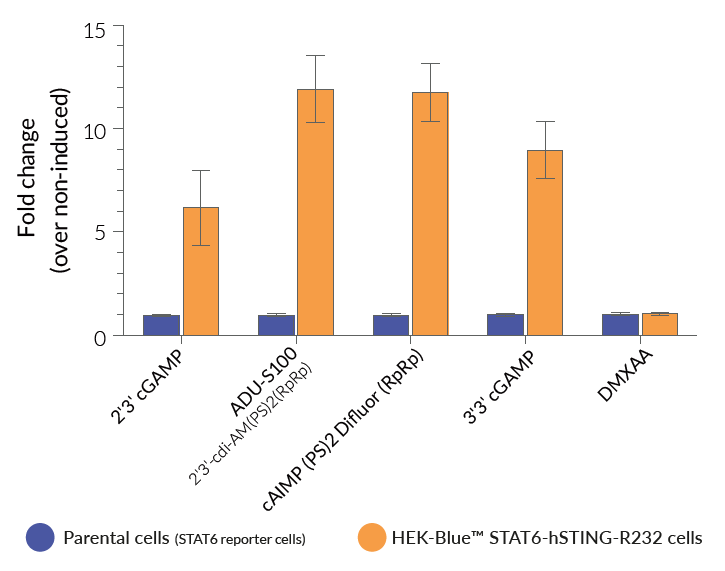 STING-dependent STAT6 activation