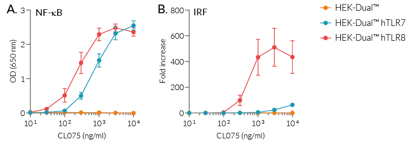 NF-κB and IRF responses of HEK-Dual™-derived cells to CL075