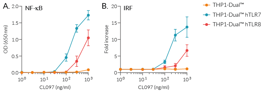 NF-κB and IRF responses of THP1-Dual™-derived cells to CL097