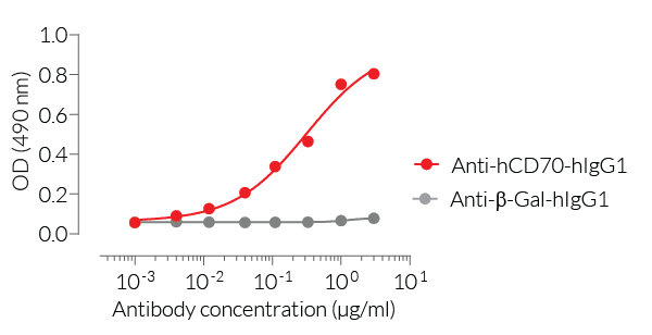 ELISA detection of Fc-hCD70