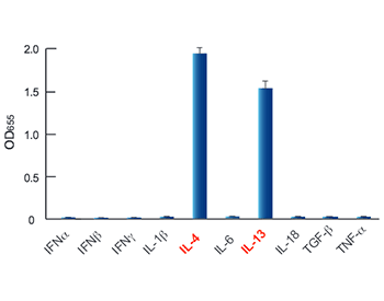 HEK-Blue™ IL-4/IL-13 specificity