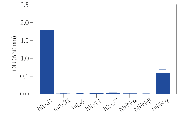 HEK-Blue™ IL-31 specificity