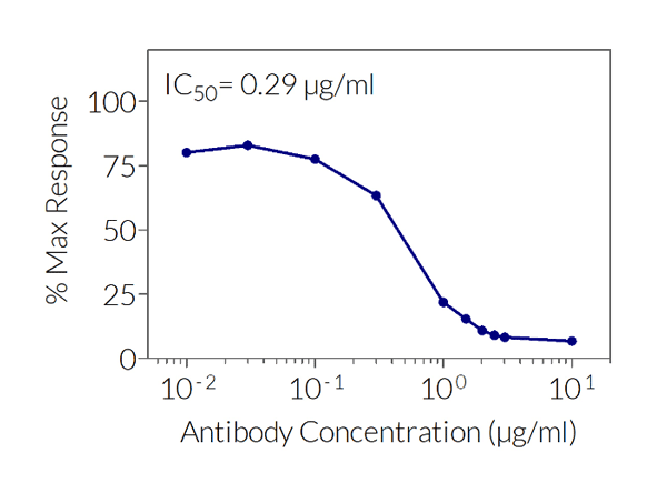 Human IL-10 signaling inhibition