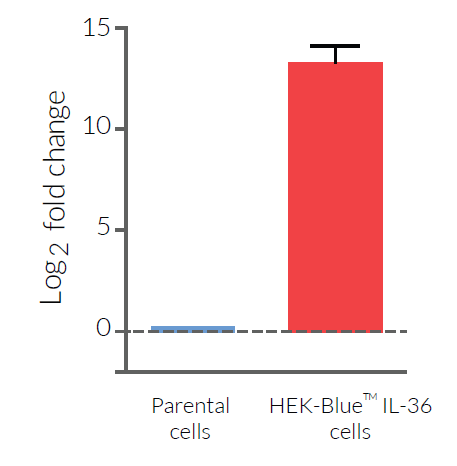 Validation of IL-36R expression