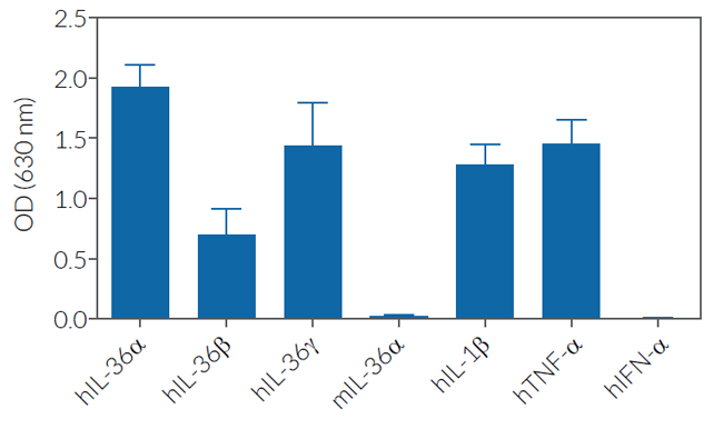 HEK-Blue™ IL-36 specificity