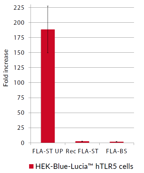 NF-κB (IL-8) - Lucia response