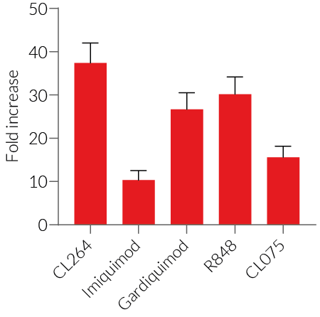 IL-8 - Lucia response