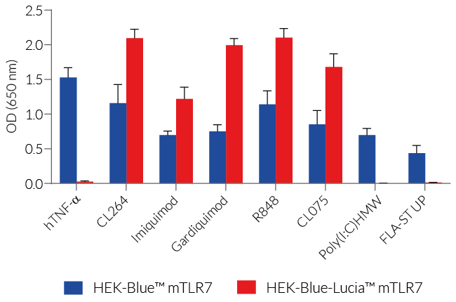 NF-κB - SEAP response