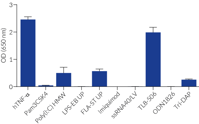 Response to various PRR agonists and cytokines