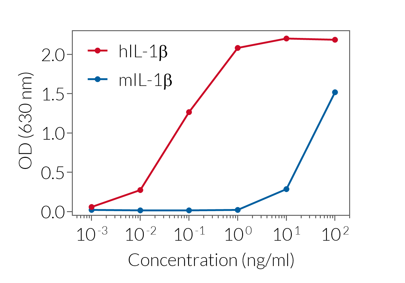 Response of HEK-Blue™ IL-1β cells to recombinant IL-1β